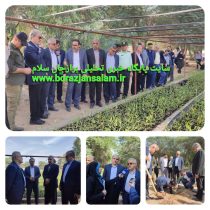 نوبخت،با توجه به روحیه همدلی و تعاملی که در بین مسئولین ومردم در شهرستان بوشهر وجود دارد طرح مردمی کاشت یک میلیارد درخت در شهرستان بوشهر با موفقیت اجرا میشود