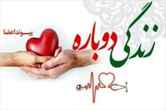 اهداء٣ عضو کودک بوشهری برای پیوند به بیماران نیازمند