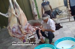 تصاویروجزئیات اقدامات خادمیاران رضوی استان بوشهر در روز عید قربان