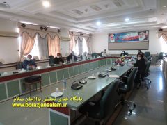 جلسه مشورتی مناسب سازی شهرستان بوشهر برگزار شد