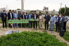 آغاز عملیات اجرایی ۱۴ پروژه عمرانی شهرداری برازجان در دهه مبارک فجر