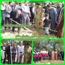 کاشت نهال توسط صالح رحیمی فرماندار بوشهر بمناسبت روز درختکاری