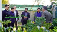مرتضی قدوسی؛ شهرداری برازجان تلاش می‌کند نسبت به افزایش سرانه‌ی درخت در شهر تاریخی برازجان اهتمام ویژه‌ای به خرج دهد