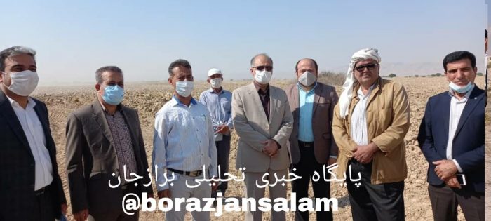 رئیس سازمان جهاد کشاورزی بوشهر : کشت گندم در بیش از ۹۷ هزار هکتار از اراضی استان بوشهر شروع شد