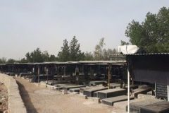 رییس شبکه بهداشت و درمان دشتستان: عدم برگزاری تجمعات نقش مهمی در کاهش روند بیماری کرونا دارد ؛ ساماندهی آرامستان‌های شهرستان دشتستان