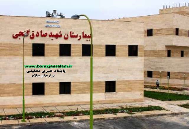 مدافعین سلامت بیمارستان شهید گنجی برازجان تجلیل شدند