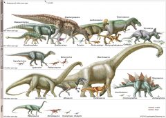 علت انقراض دایناسورها اعلام شد!