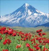 بخشی از کوه دماوند وقفی شد / سند یک برش از کوه دماوند به‌نام سازمان اوقاف ثبت شد