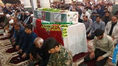  امام جمعه دشتستان: کمبود شیر خشک در بازار باعث گله‌ی مردم شده است
