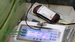 پیشکسوتان جهاد و شهادت استان بوشهر در راستای برگزاری مرحله دوم رزمایش کمک مؤمنانه با حضور در اداره کل انتقال خون این استان، خون خود را به بیماران نیازمند اهدا کردند