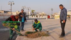 تصاویر کاشت ۵۰ اصله نهال سپستان در خیابان شهید چمران برازجان